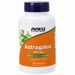 NOW Astragalus 500 mg -100 kaps.