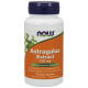 Now Astragalus Extract  500 mg 90 kaps.