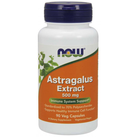 Now Astragalus Extract  500 mg 90 kaps.