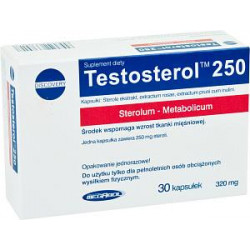 Megabol Testosterol 250  30 kaps.